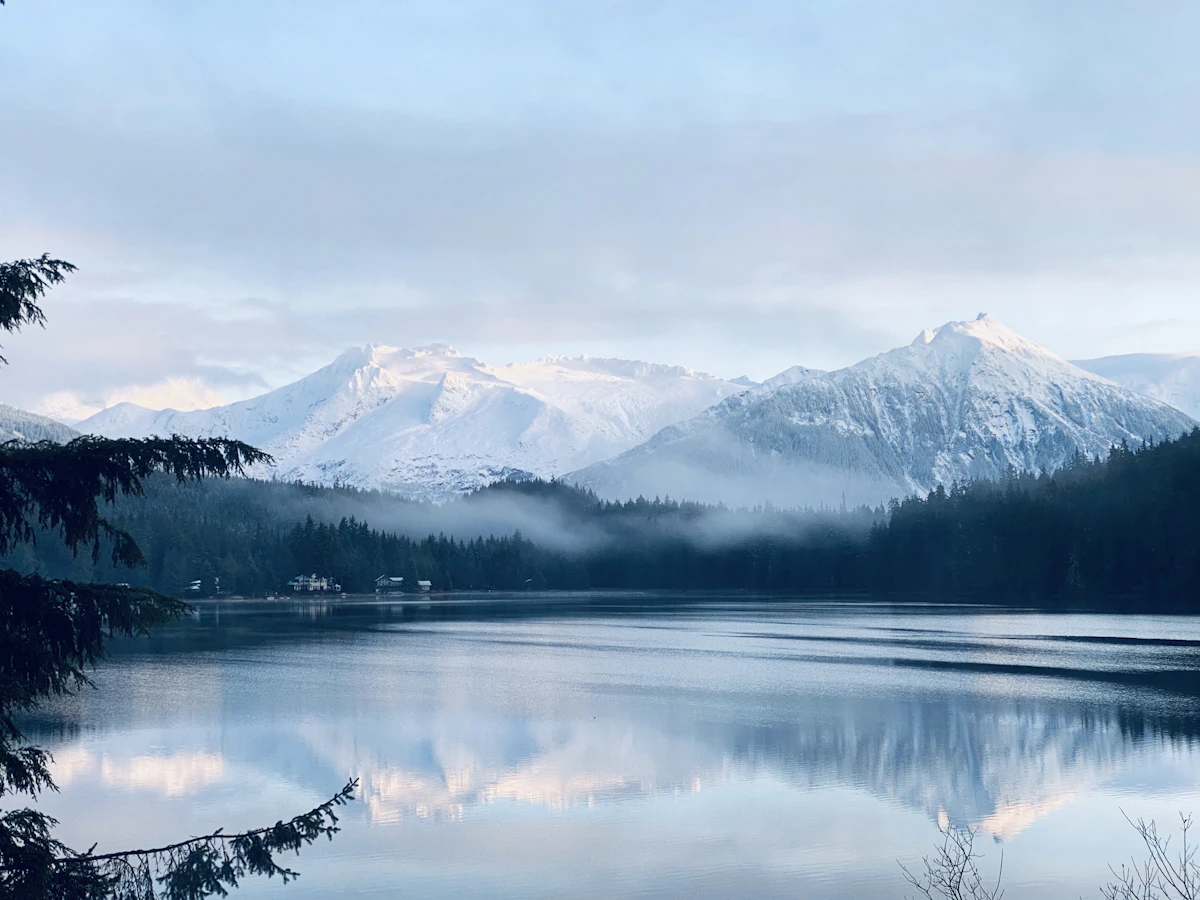Alaska Elk Draw Odds 2027: Hunt Codes, Tags & Strategy