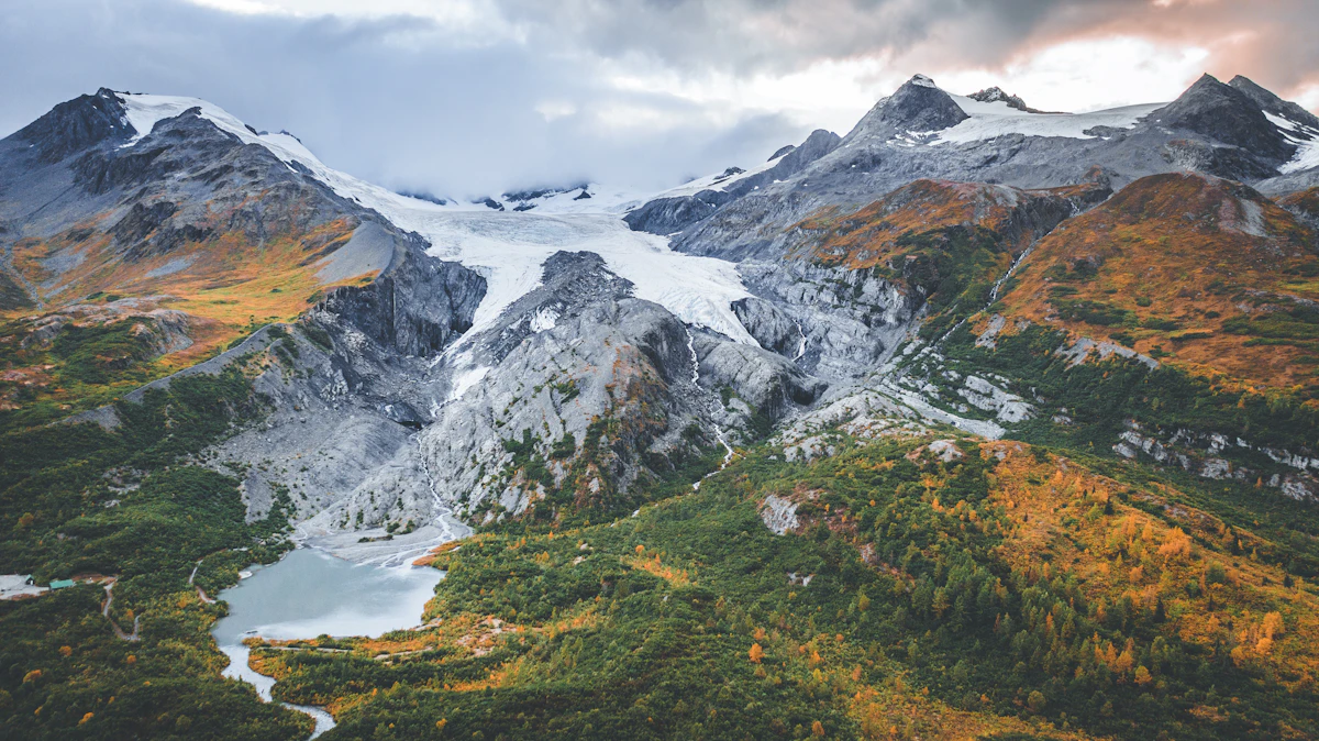 Alaska Guided Dall Sheep Hunts 2027: Cost & Tags