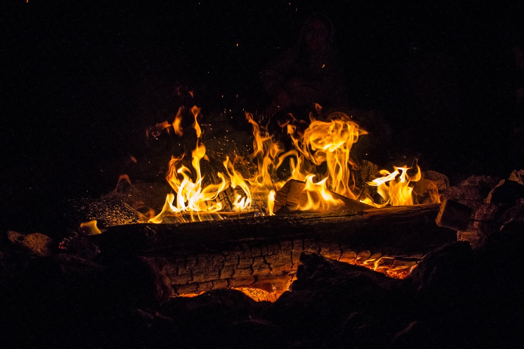 Best Colorado Camping Areas for Hunters