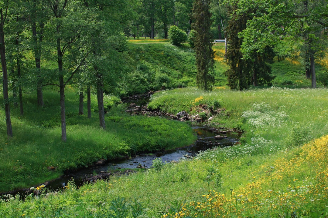 Best Elk Habitat Types