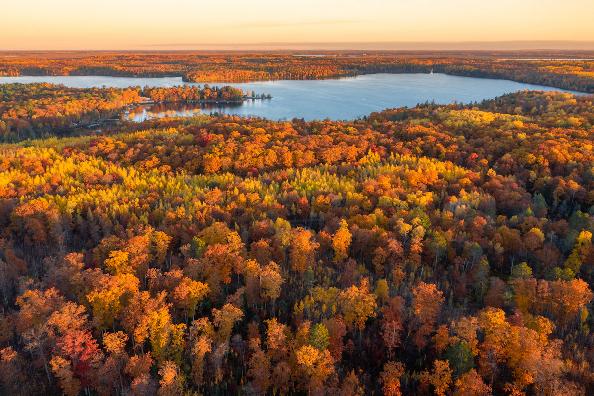 Best Wisconsin Public Land Deer Hunting 2027: Counties, Locations & Maps