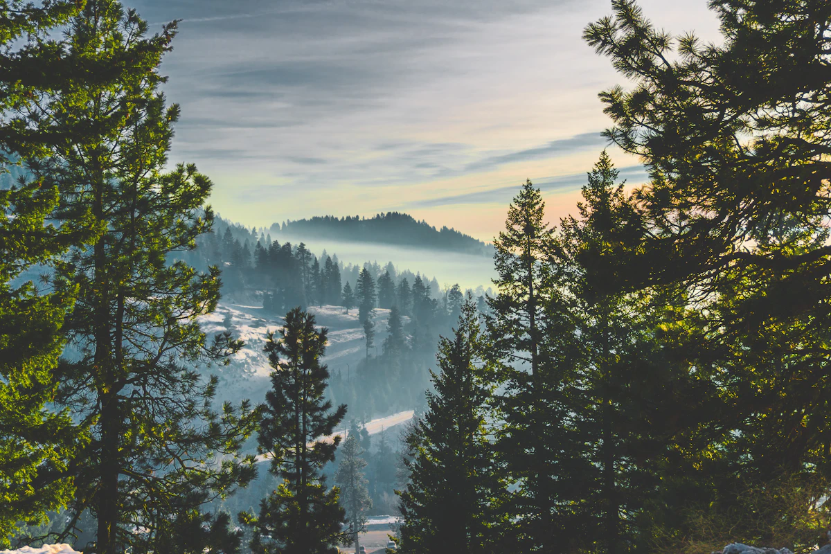 Can Nonresidents Apply for the Idaho Super Hunt?