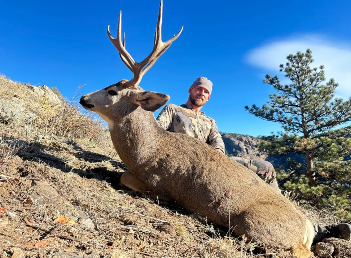 Colorado Mule Deer Draw Odds With 3 Points 2027: Units & Strategy