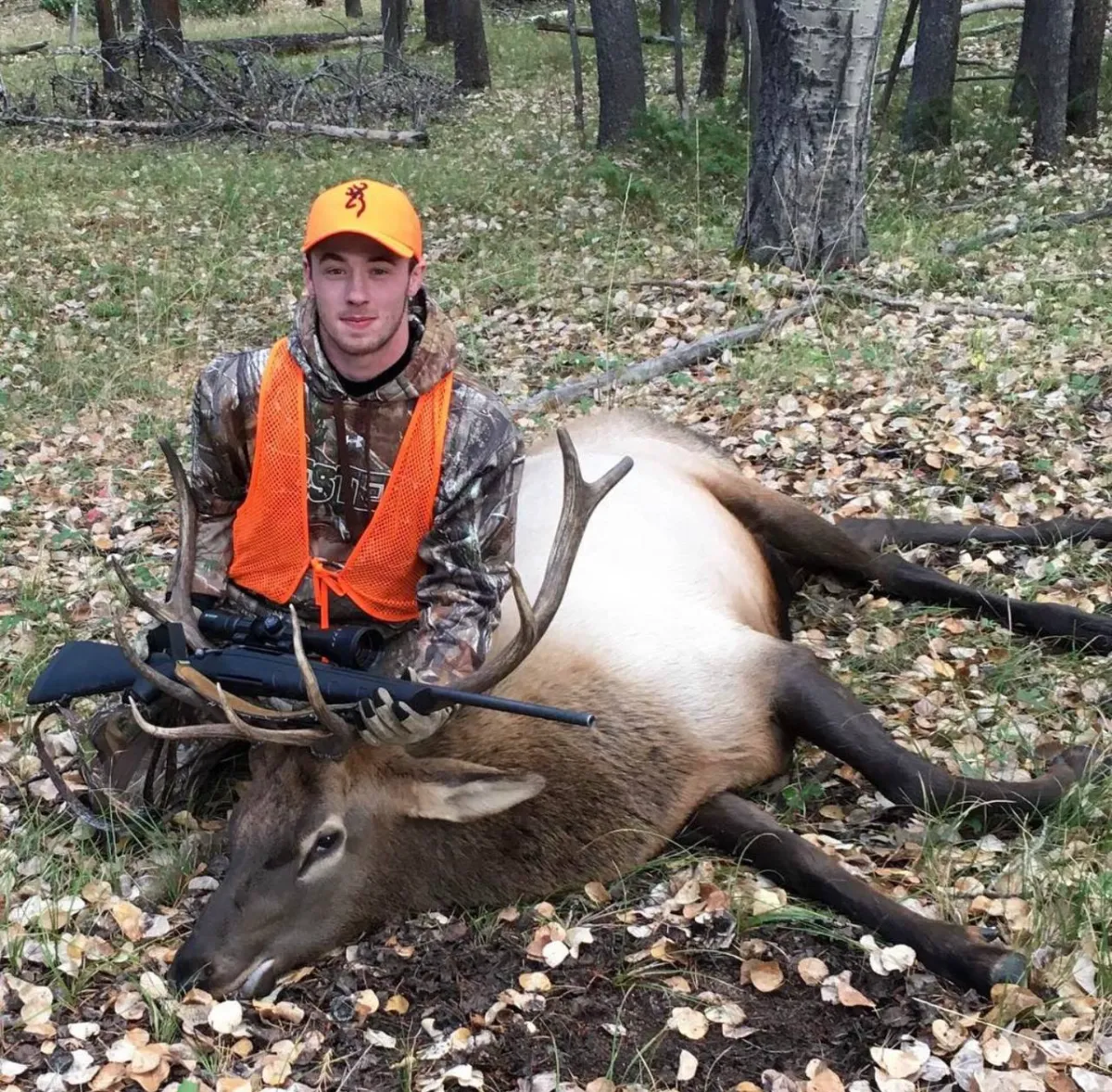 Colorado OTC Elk Hunting Is Dying — Here’s What Smart Hunters Are Doing Instead (2026) Introduction