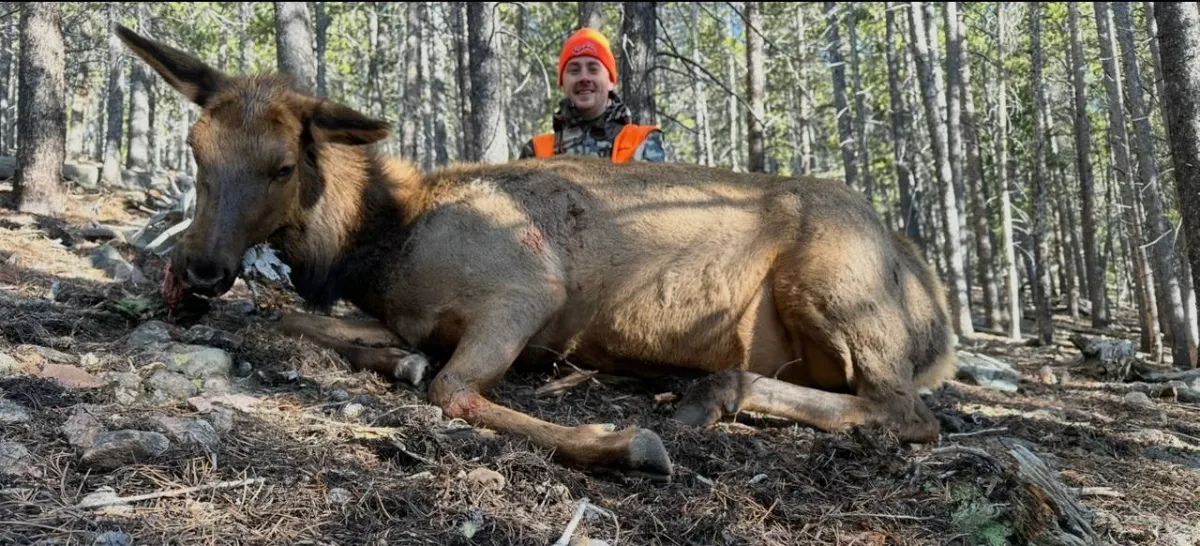 Colorado Secondary Draw and Leftover Tags — How It Works (And How to Actually Use It) 2026