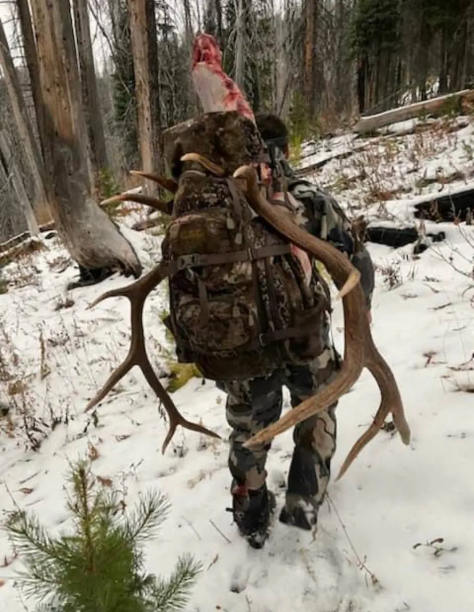 Best Western Hunting Packs for Elk Hunting | Complete Pack Guide