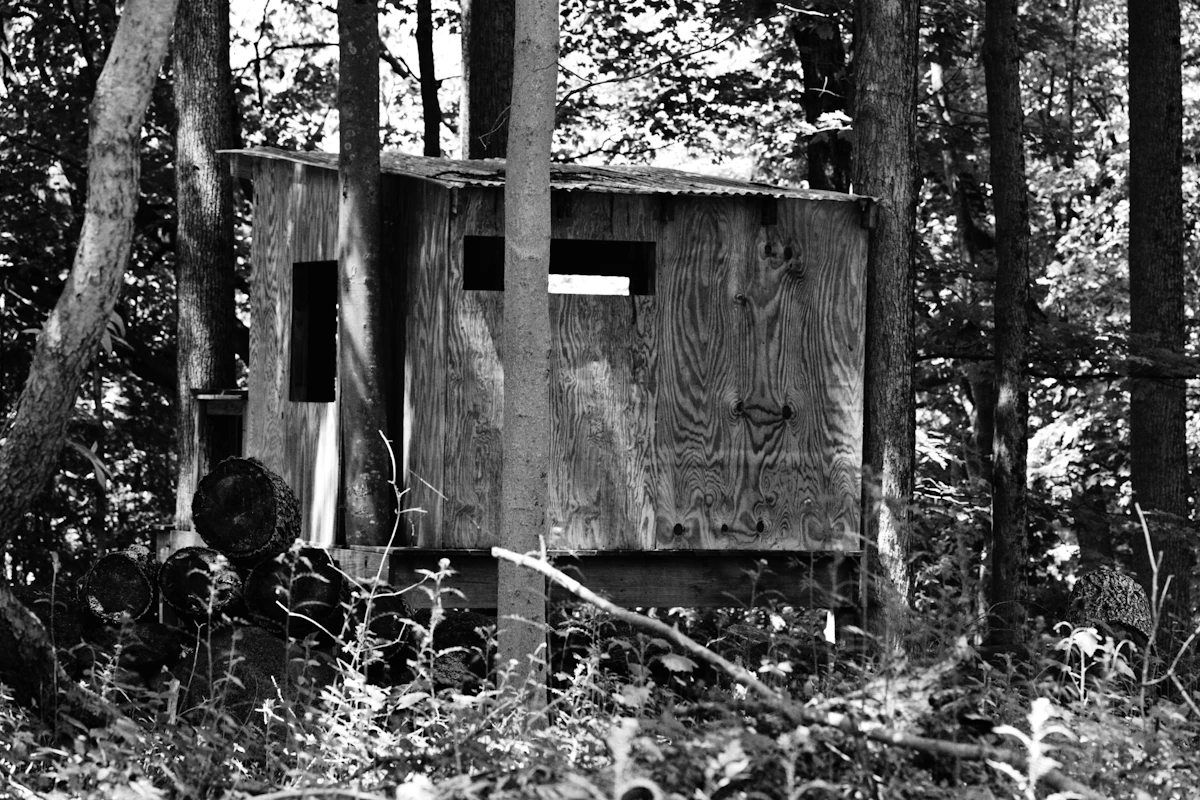 Ground Blind Hunting Tips for Whitetail and Mule Deer — Setup, Concealment, and Shot Strategies