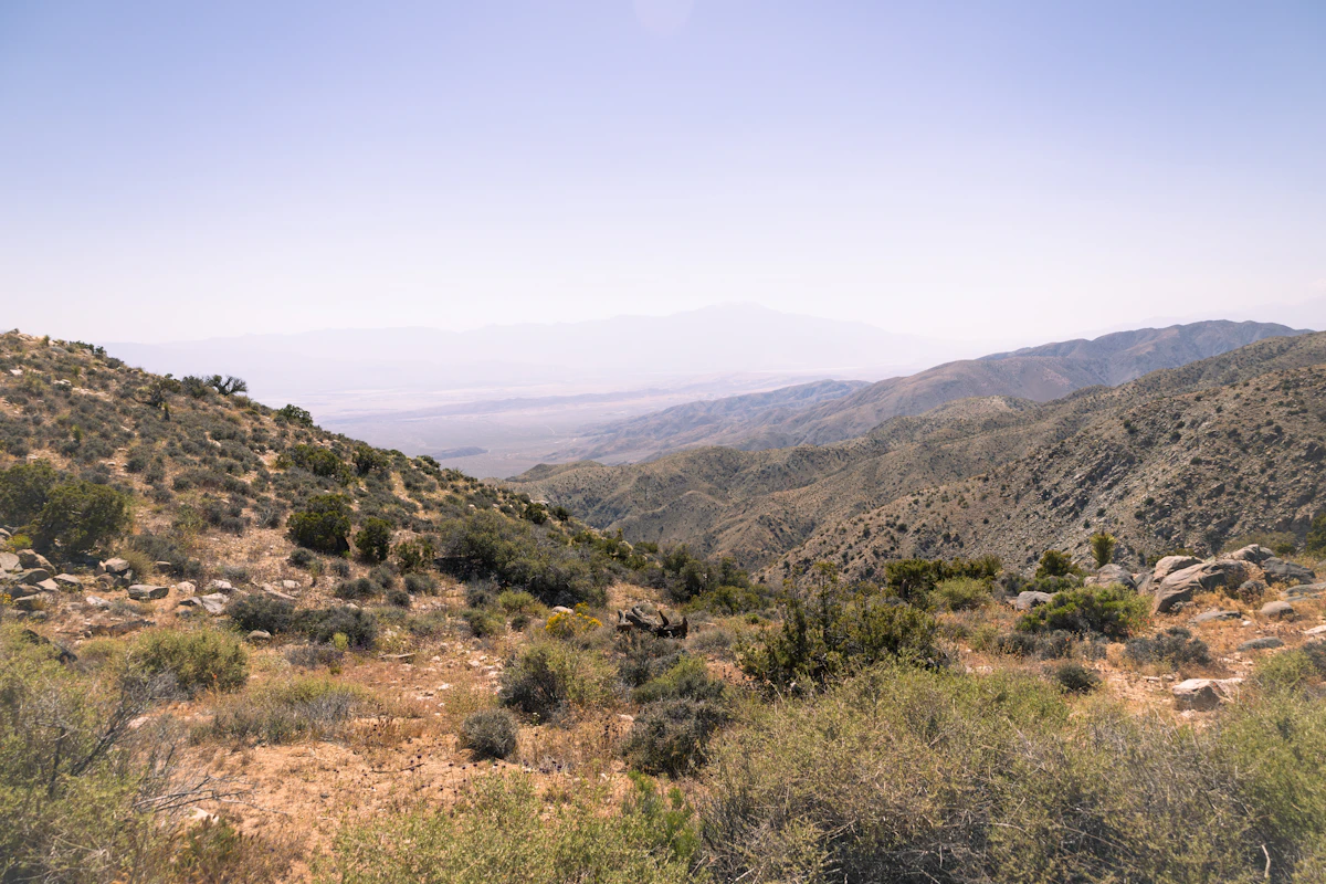 How California's Big Game Draw Works | Complete Hunting Draw Guide