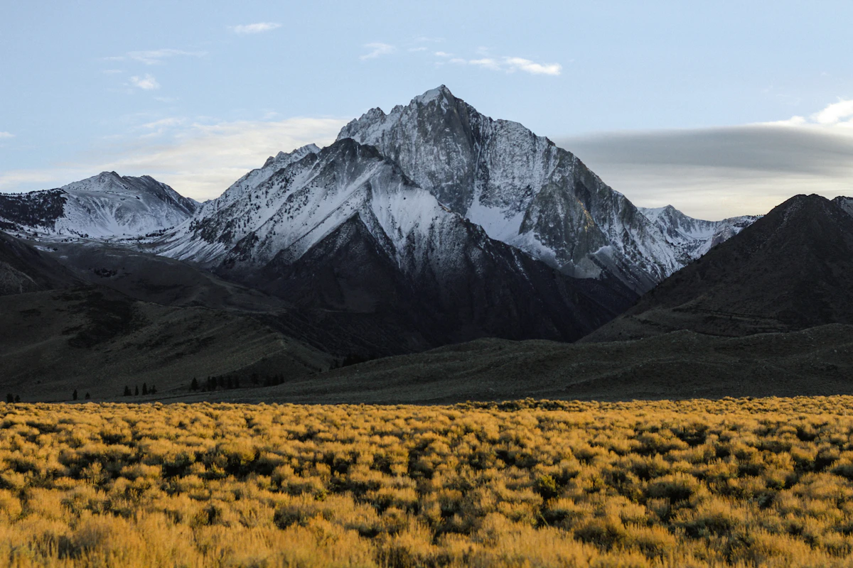 How Guides Pick Hunting Camp Locations — A Complete Field Guide