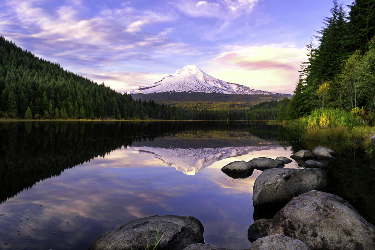 How Oregon Preference Points Work | Complete Hunting Draw Guide