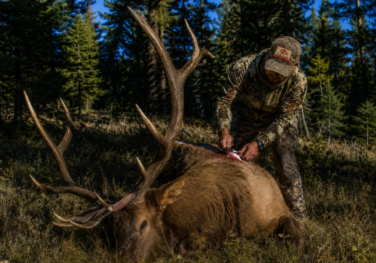 How TAGZ Is Changing Western Hunt Planning | Draw Odds & Hunting Strategy