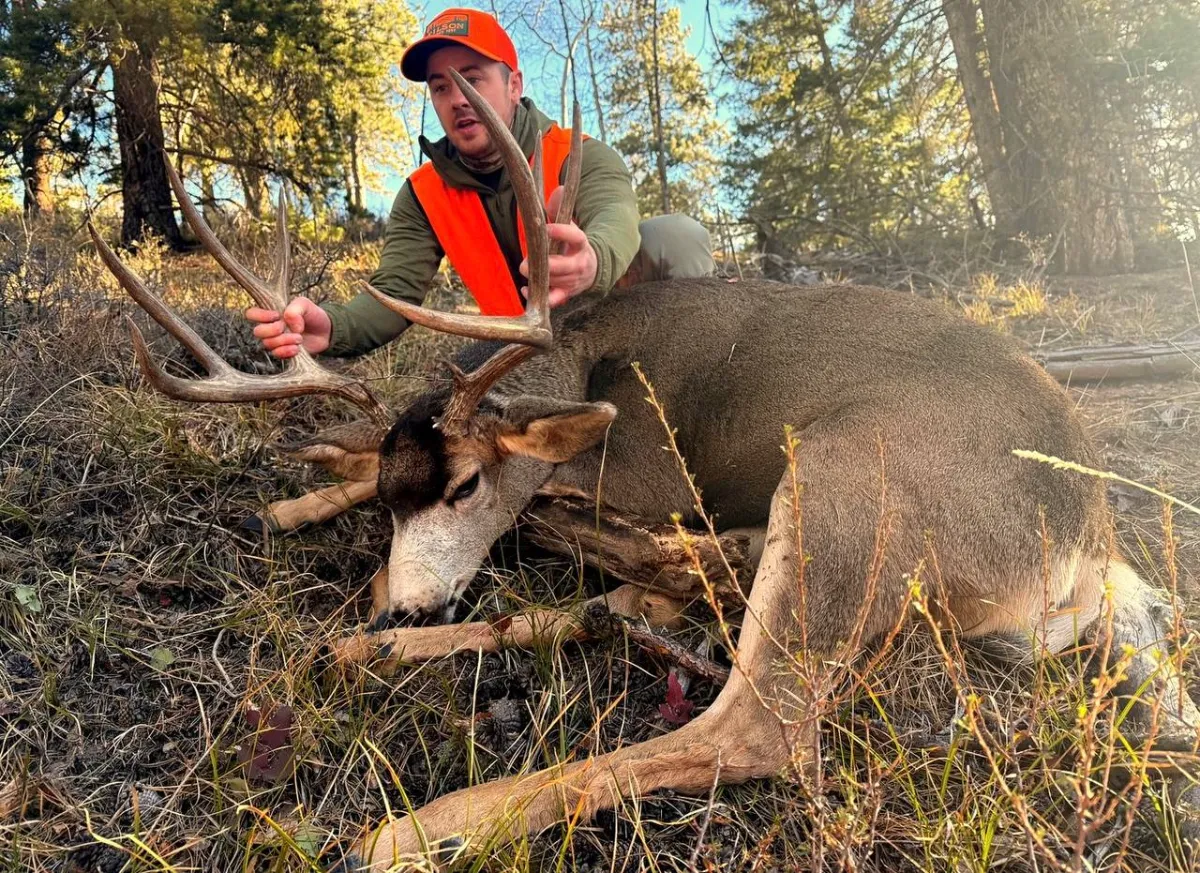 How to Field Judge Mule Deer | Complete Mule Deer Scoring Guide