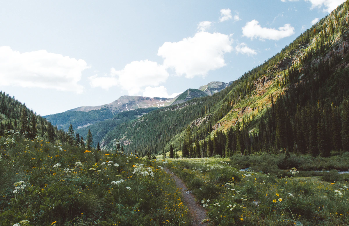 How to Find Overlooked Elk Hunting Areas That Other Hunters Miss