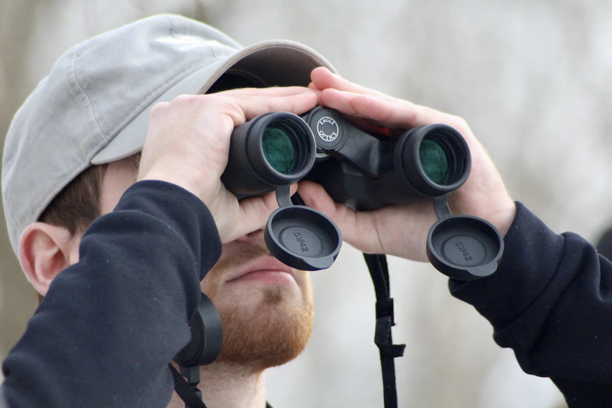 How to Glass for Elk Effectively: Real-World Tactics and Hard Truths