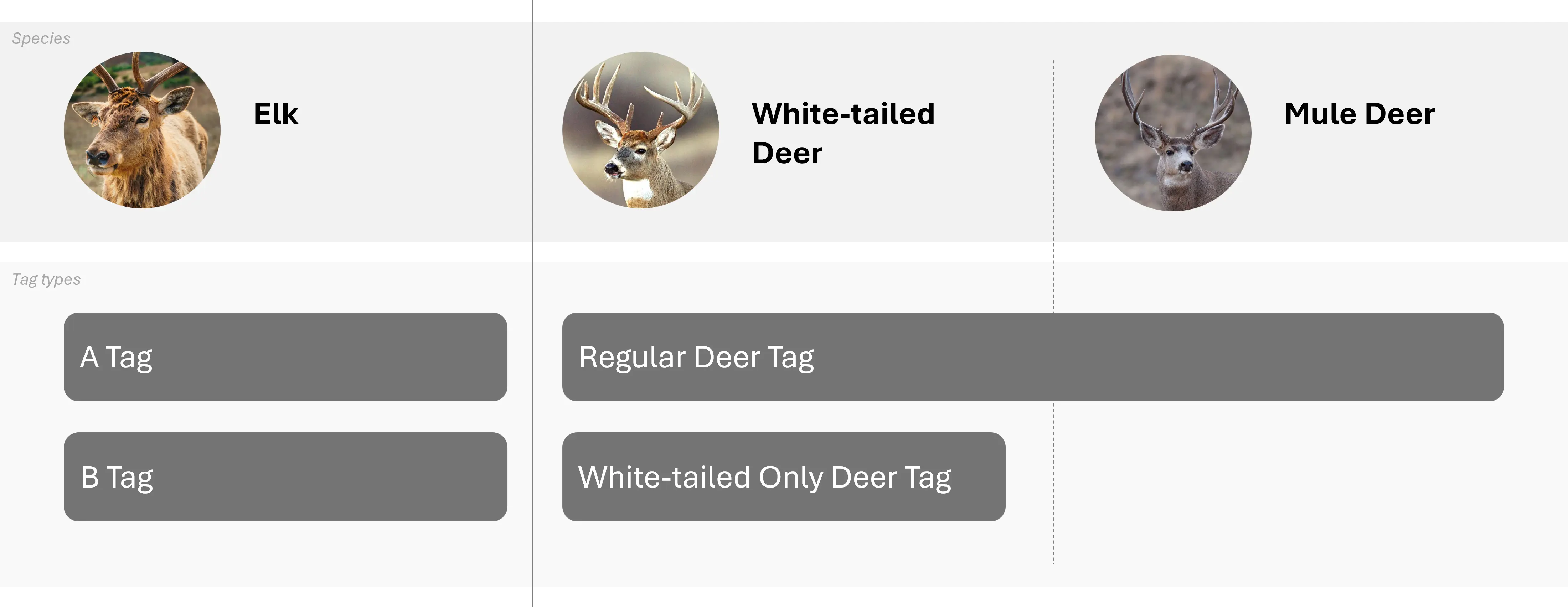 Idaho tag types: Elk / White-tailed Deer / Mule Deer
