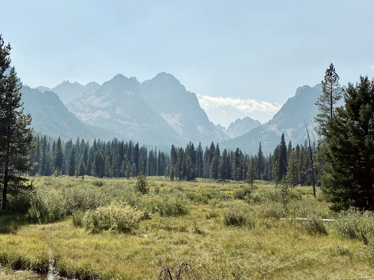 Idaho Controlled Hunt Draw Guide 2027: Application Strategy & Success Tips