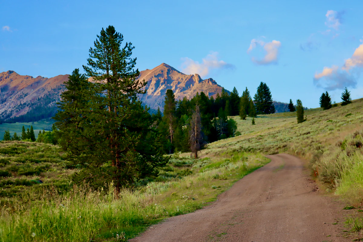 Idaho Super Hunt Strategy: Where Should You Hunt If You Actually Win?