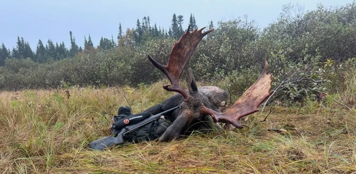 Long Range Shooting for Hunters | Accuracy, Ethics & Elk Hunting