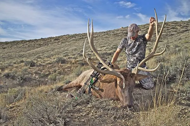 Mobile Hunting Strategy: Real-World Lessons for Western Big Game