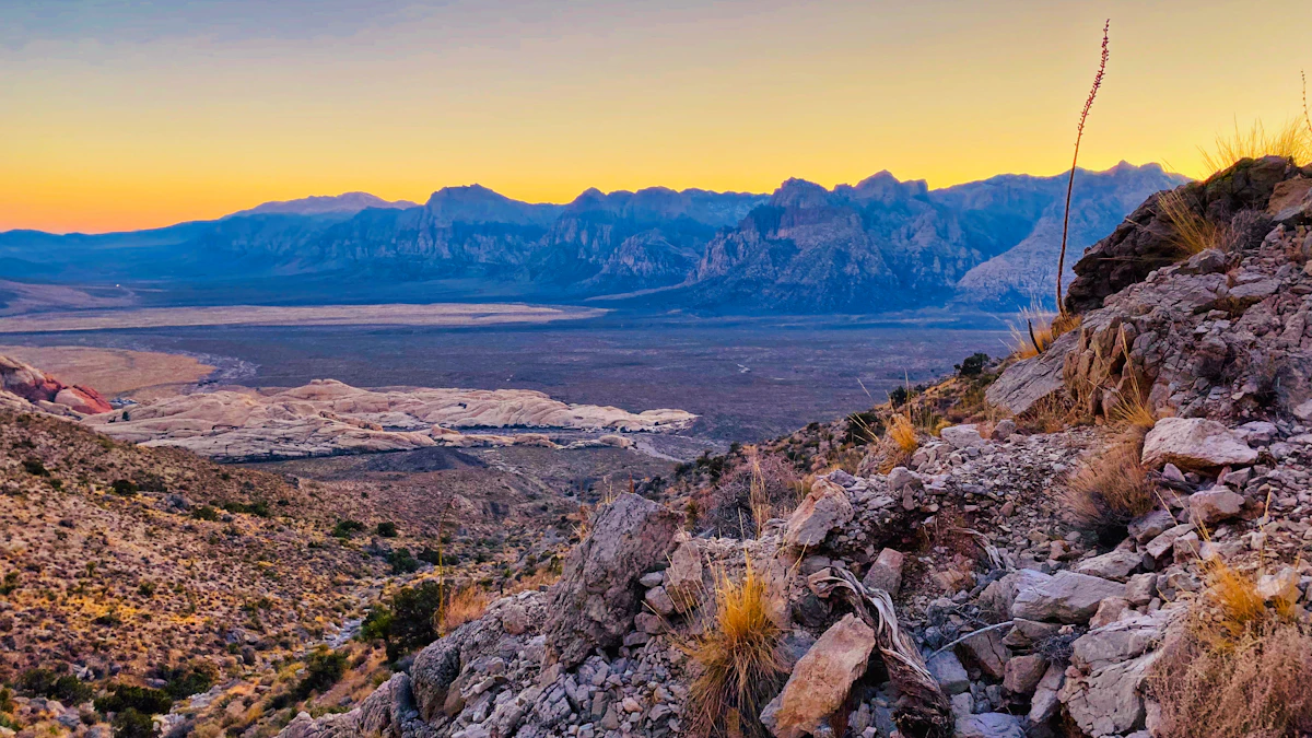Nevada Elk Draw Odds With 0 Points | 2027 Guide