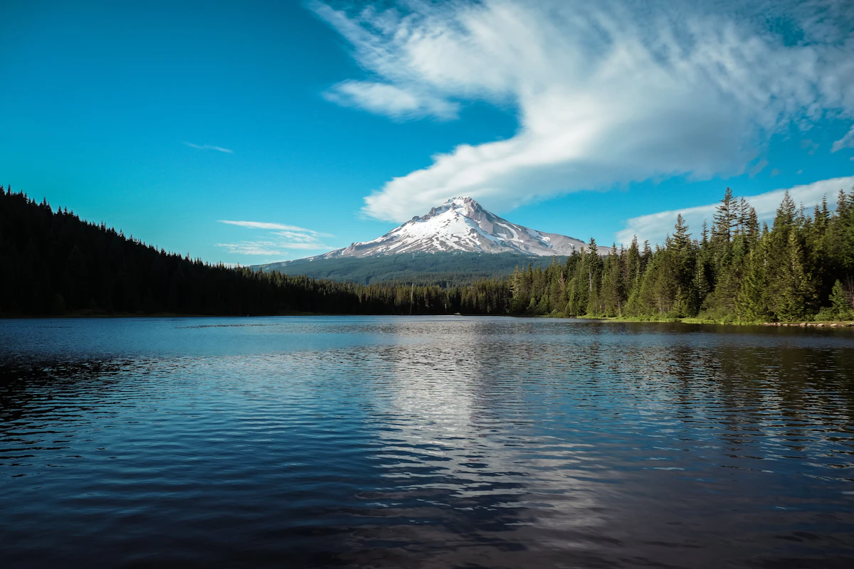 Oregon Preference Point Strategy 2027: Draw Odds & Best Hunts
