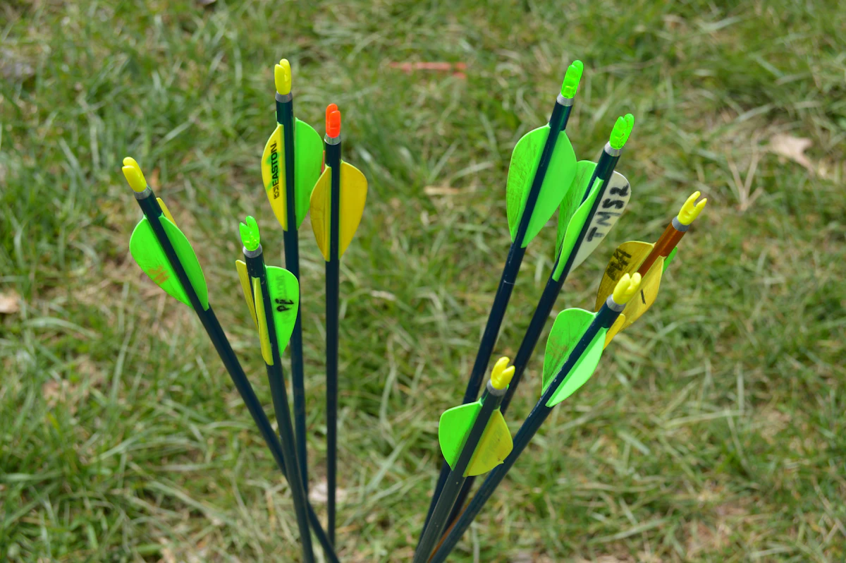 PSE vs Hoyt: Which Hunting Bow Is Better in 2026?