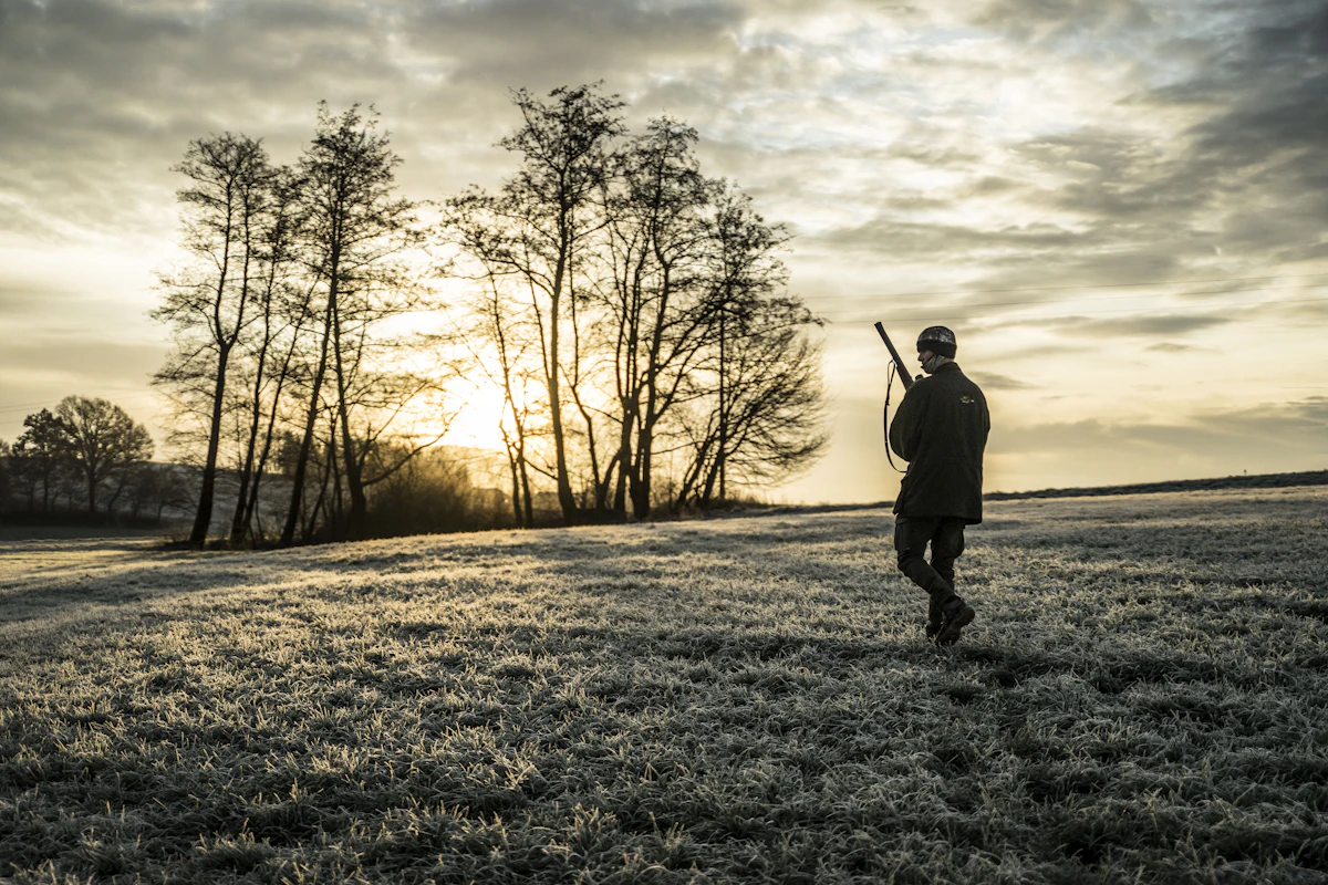 Public Land Whitetail Secrets: How to Find Pressured Bucks Where Others Walk Past