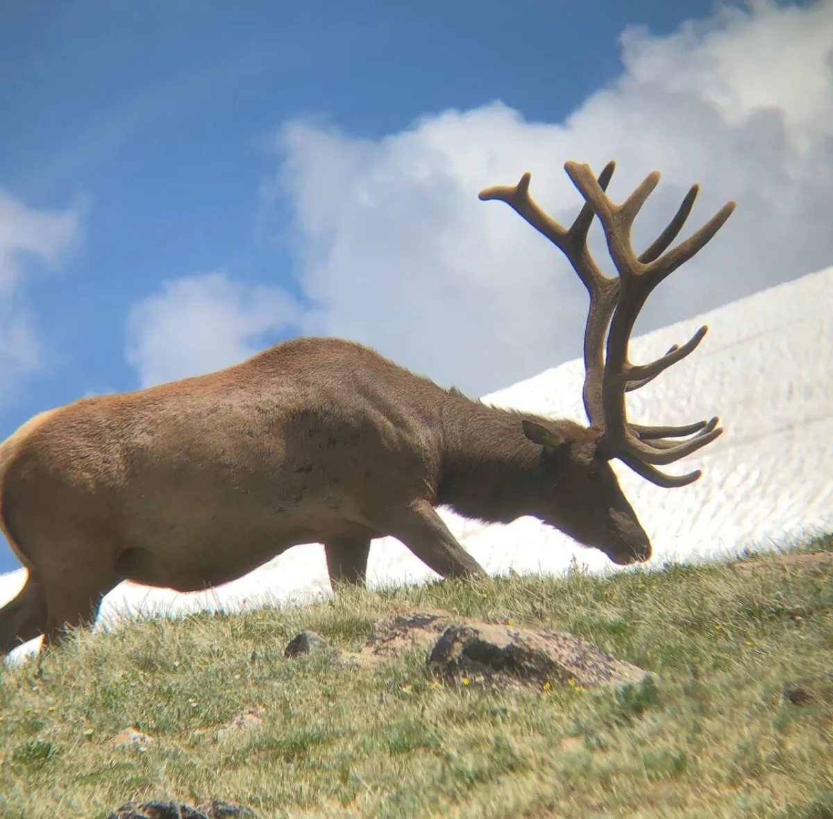 Tag Allocation Explained