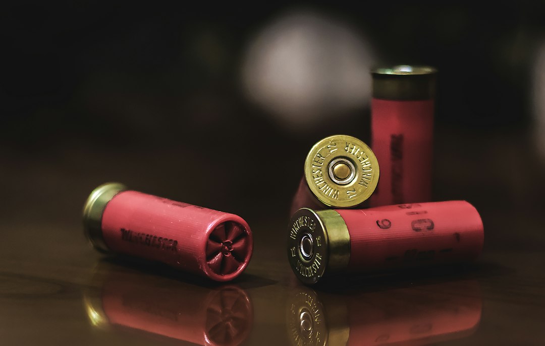 What Happens If You Win an Idaho Super Hunt Tag?
