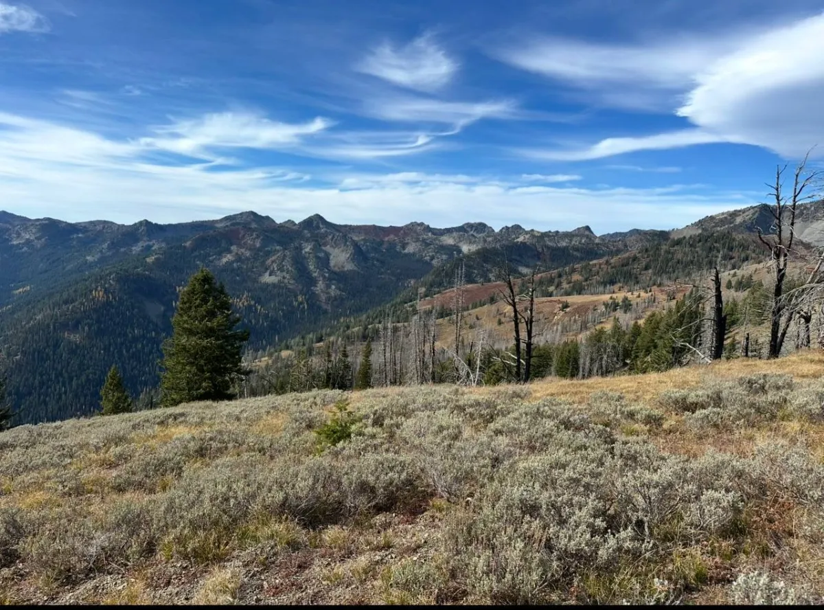 Why OTC Tags Are Disappearing