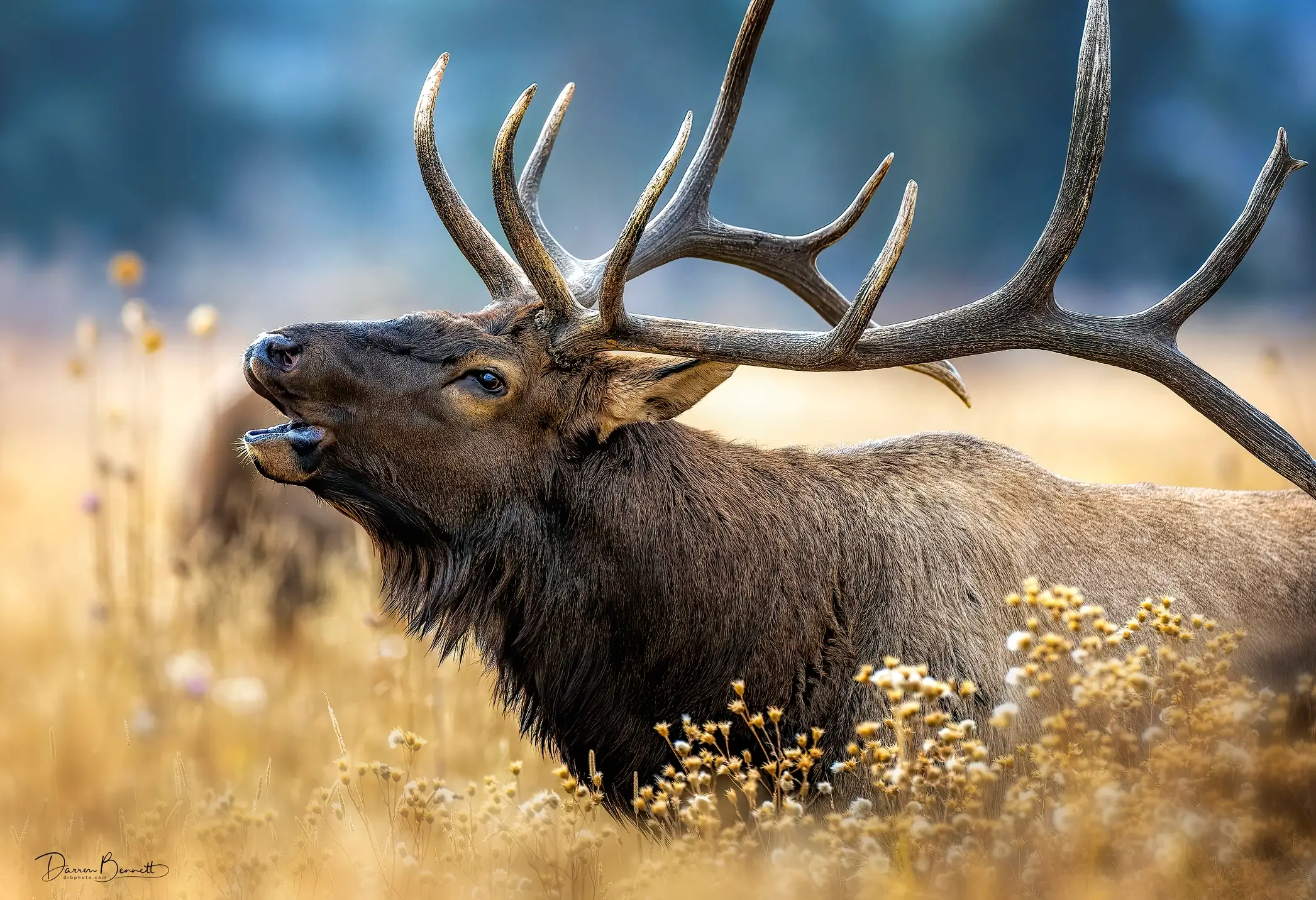 Western hunting landscape